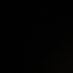 Meet your Posher, Parris